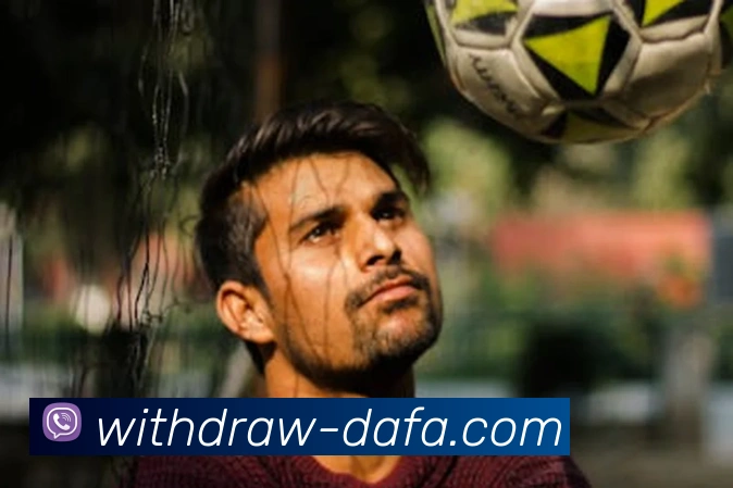 大发彩票平台生态图